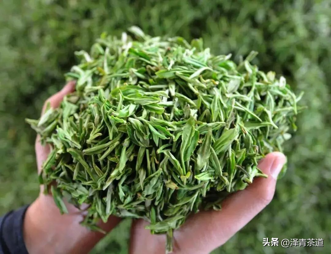 谷雨时节来杯谷雨茶,过了谷雨的茶有什么区别