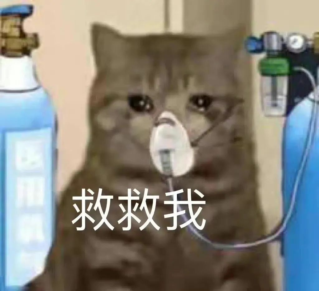 澳洲留学生出门必备物品,澳洲留学生回国带酒攻略