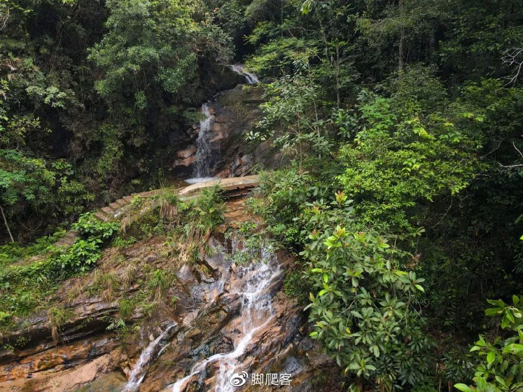 封开黑石顶自然保护区今日关注,广东封开黑石顶省级自然保护区