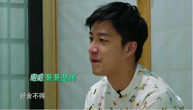 福原爱前男友现在怎么样了,福原爱新恋情被曝