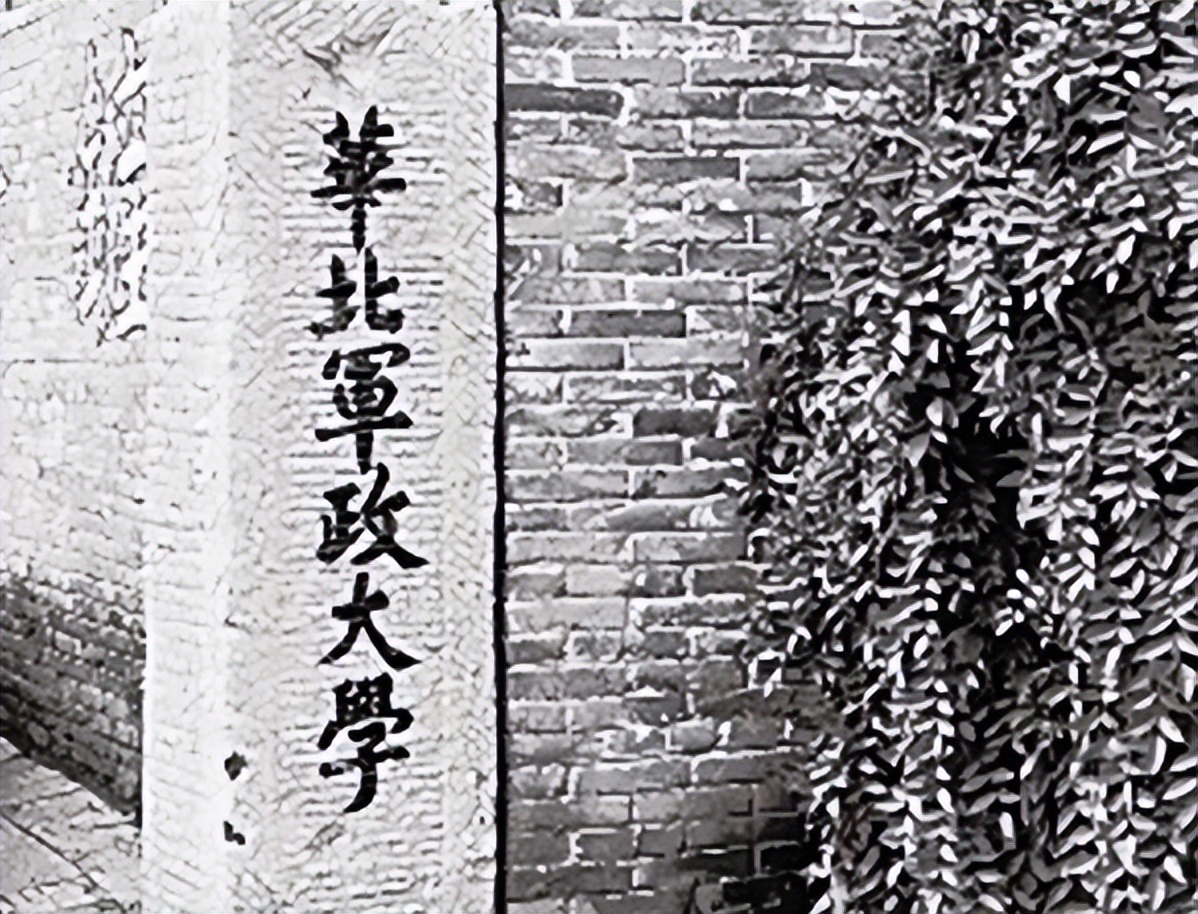 她是叶帅最后一任妻子,生下一双儿女,现年96岁,孙女是知名歌星