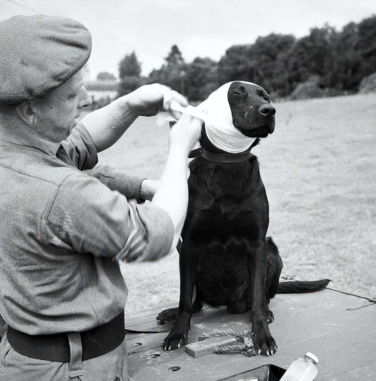 日寇侵入永州*行暴**实录，2000余妇女被奸淫，令人发指，罄竹难书