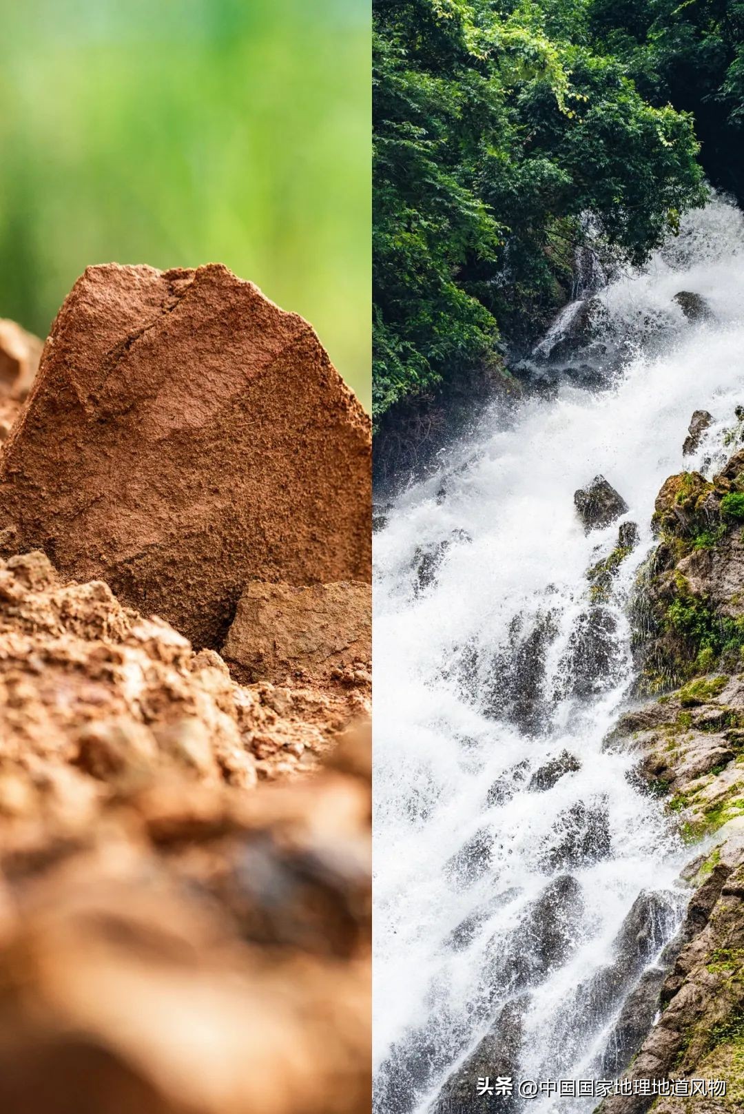 茅台酒的味道是香精调出来的吗,茅台酒的酱香是什么酱