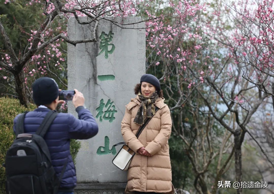南京看梅花的地方,南京梅花里房价