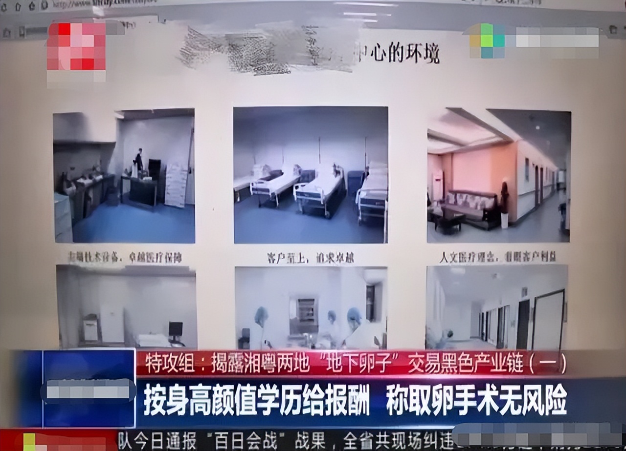 高校女厕中见不得光的“高薪兼职”，让多少女大学生后悔半生