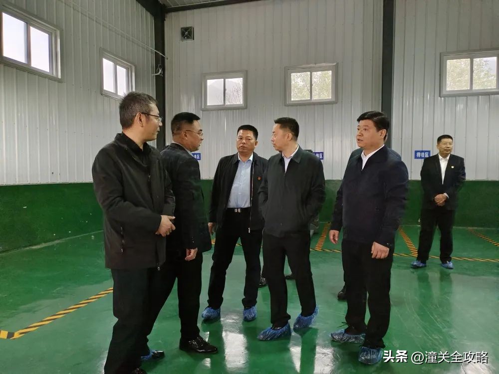 山泉水改造成自来水,山泉水厂正式投产