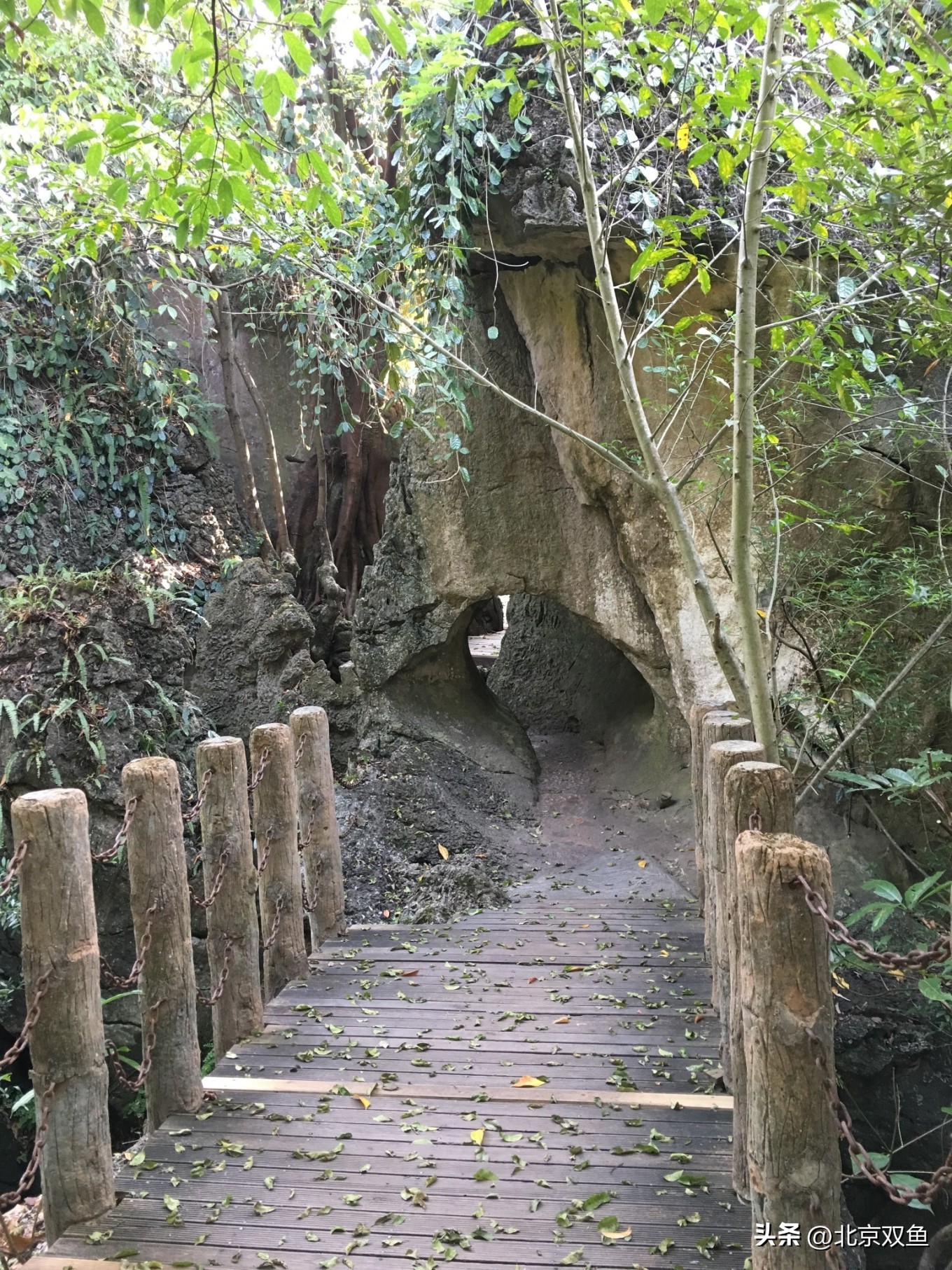 贵州黄果树最美的地方,贵州黄果树旅游攻略自由行