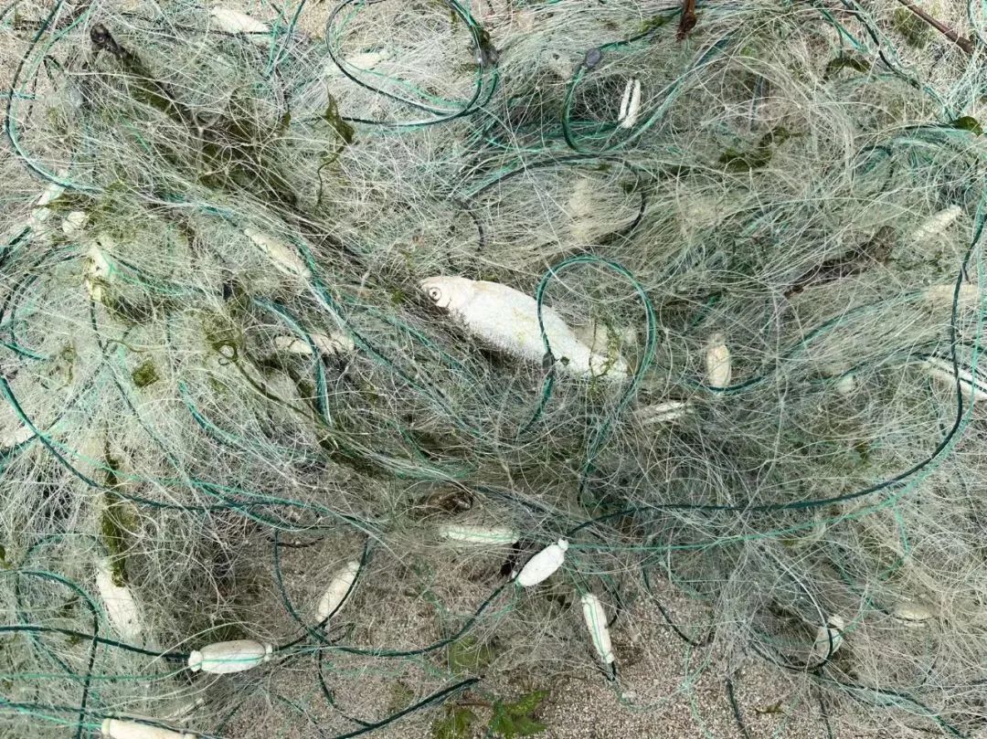 武都公安时刻守护你的平安,陇南公安新闻最新消息