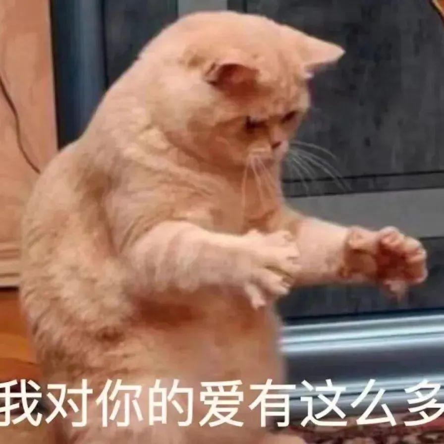 分红以及股息率的区别,分红和股息的本质区别