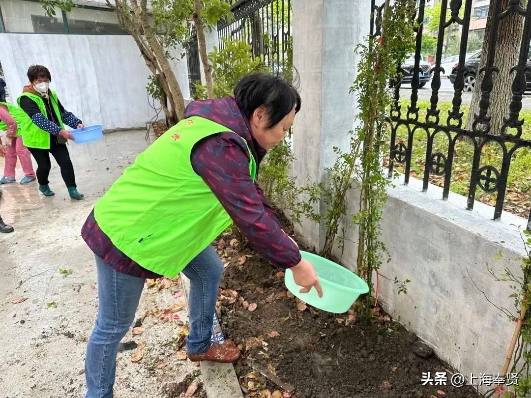 拆迁安置房怎么分家析产,拆改结合型小区