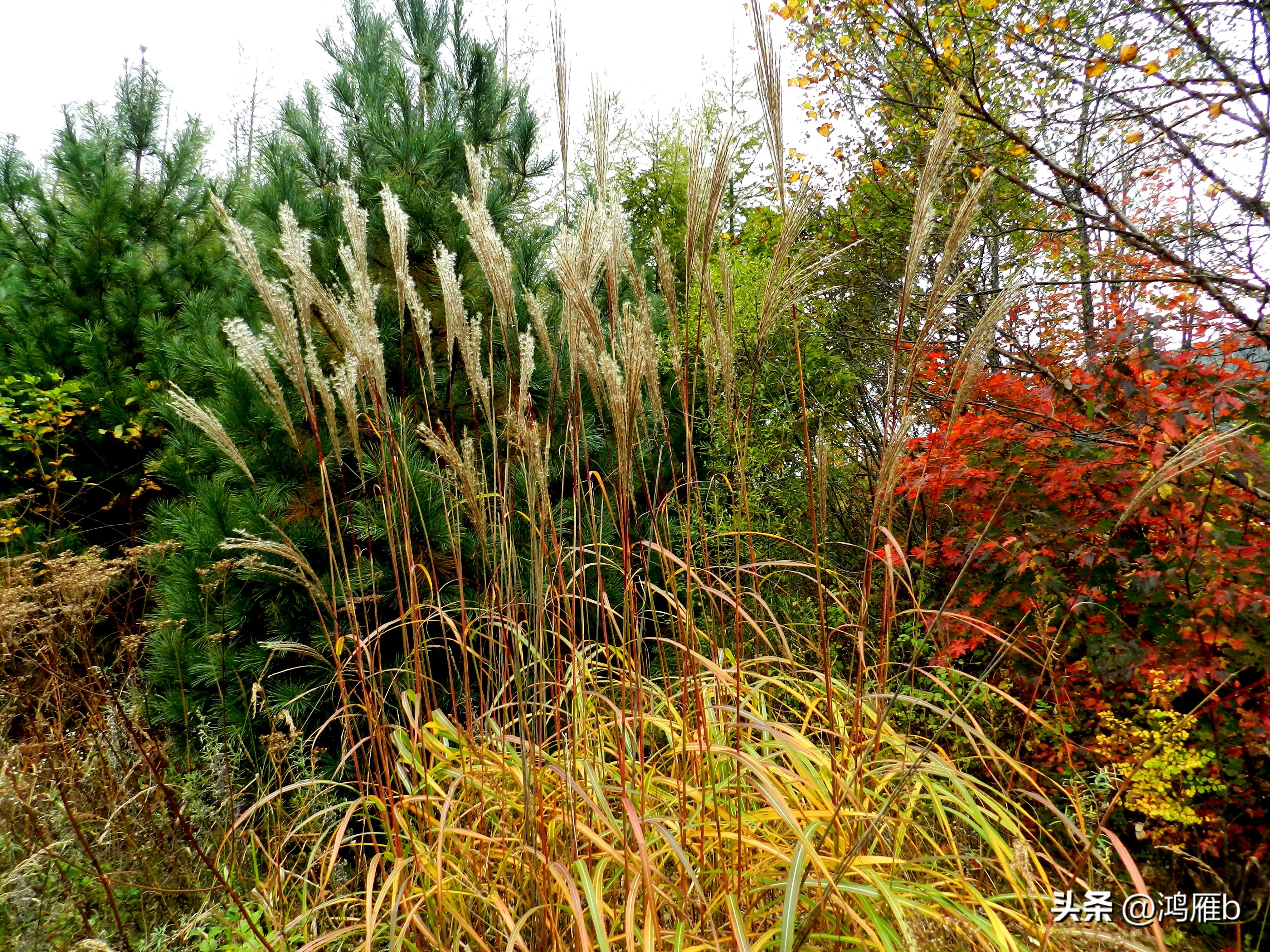 本溪温泉汤沟门票价格,本溪花溪沐枫雪温泉小镇