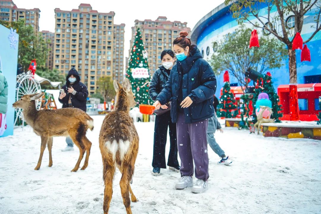 HAPPY兔YOU，新春在世纪金源的N种幸福