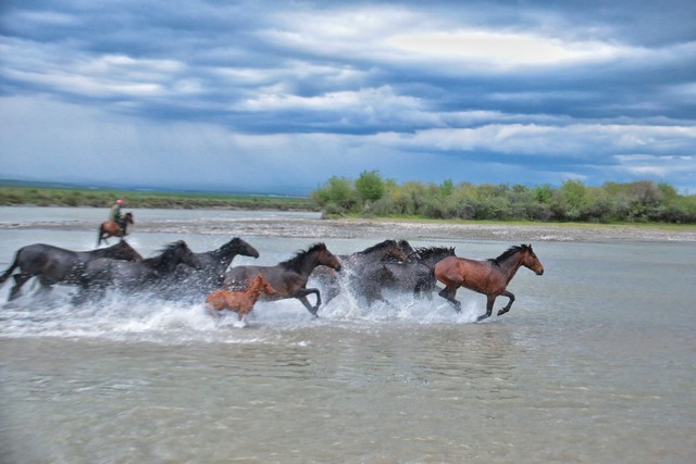 生肖马和生肖蛇谁更厉害,78年生肖马和76年生肖龙合适吗