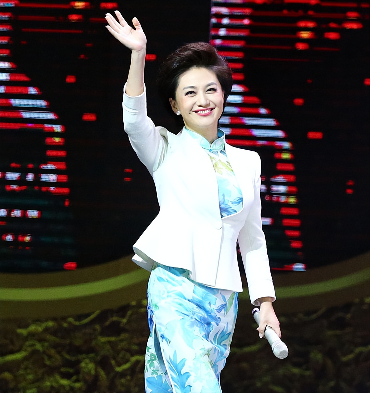 海霞为什么嫁给清华教授,清华北大48岁海霞全家照片