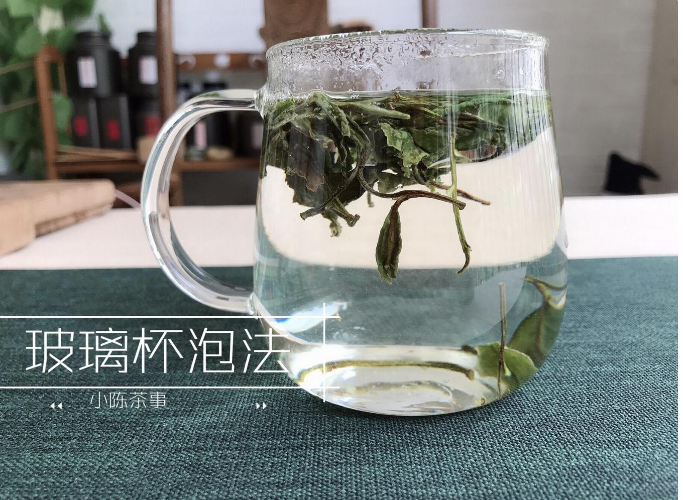 白茶的正确冲泡方法保温杯,玻璃杯白茶的正确冲泡方法