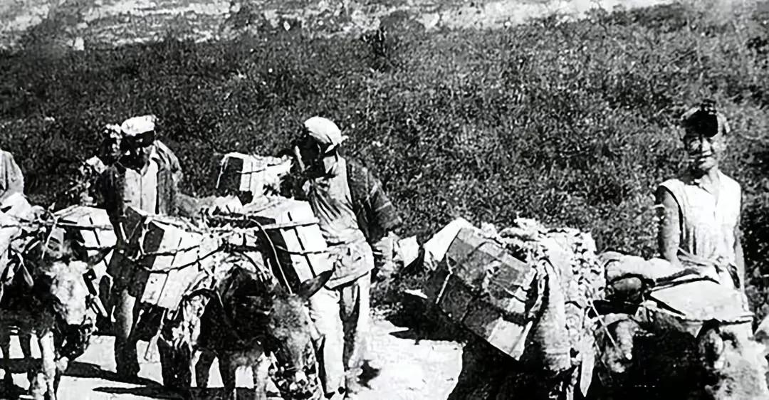 魏学诚随军日记攻克泰安城,华野三纵战斗历程