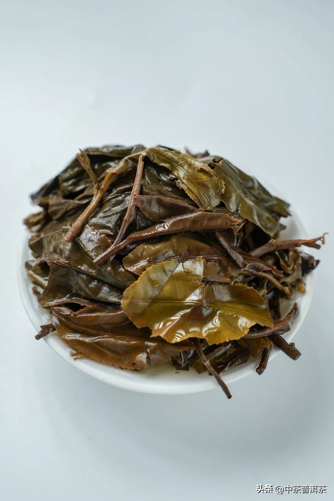 中茶2023孔雀普洱茶,中茶孔雀青饼品鉴图