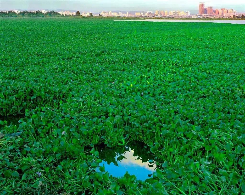 2022年壬寅年带有天干地支的日历,农历2022年十月初一壬寅虎年