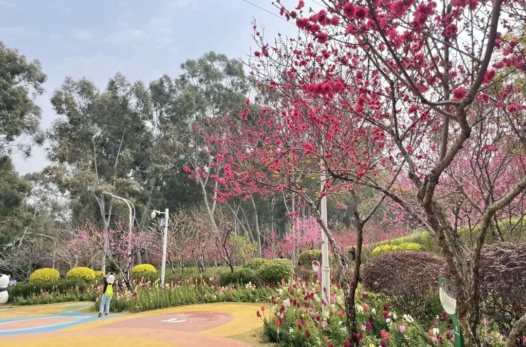 brt鐜板湪鎬庝箞涔樺潗,brt涔樺潗鏀荤暐