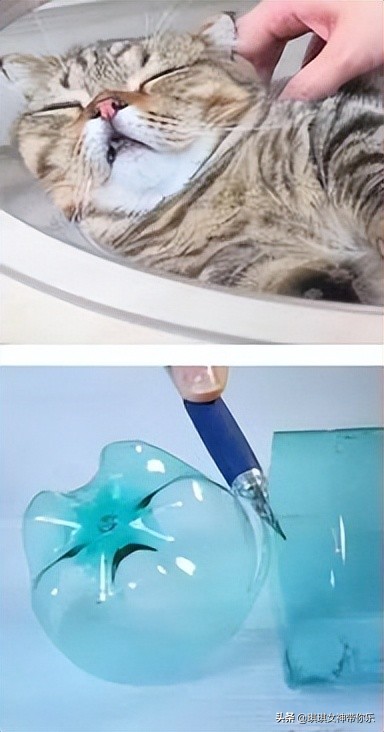 冬天两个人约会去哪里最合适,冬天情侣约会想二人独处去哪好