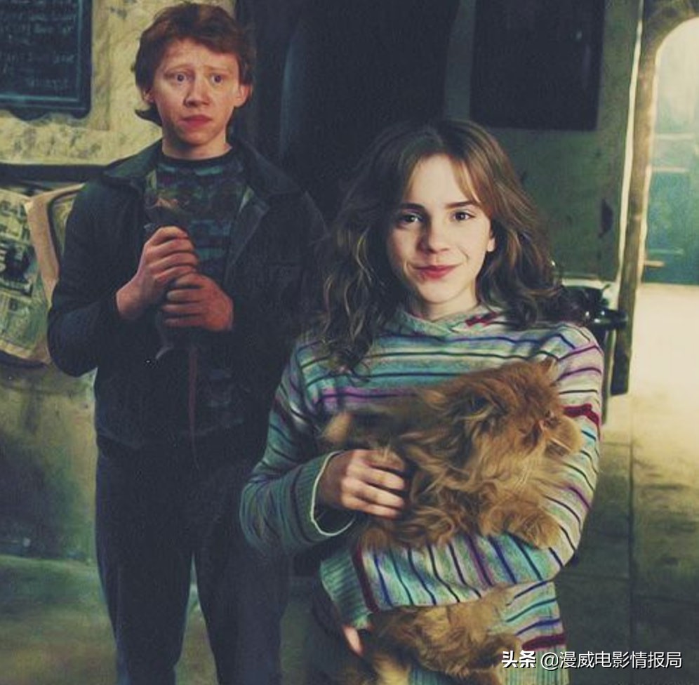 哈利波特赫敏演员艾玛,艾玛沃特森为什么演赫敏