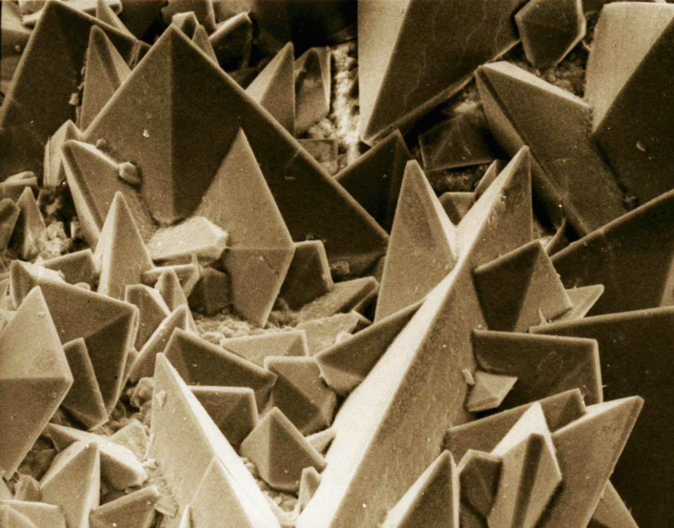 25张高倍显微镜拍下的照片,显微镜下的雪花特写片片惊艳