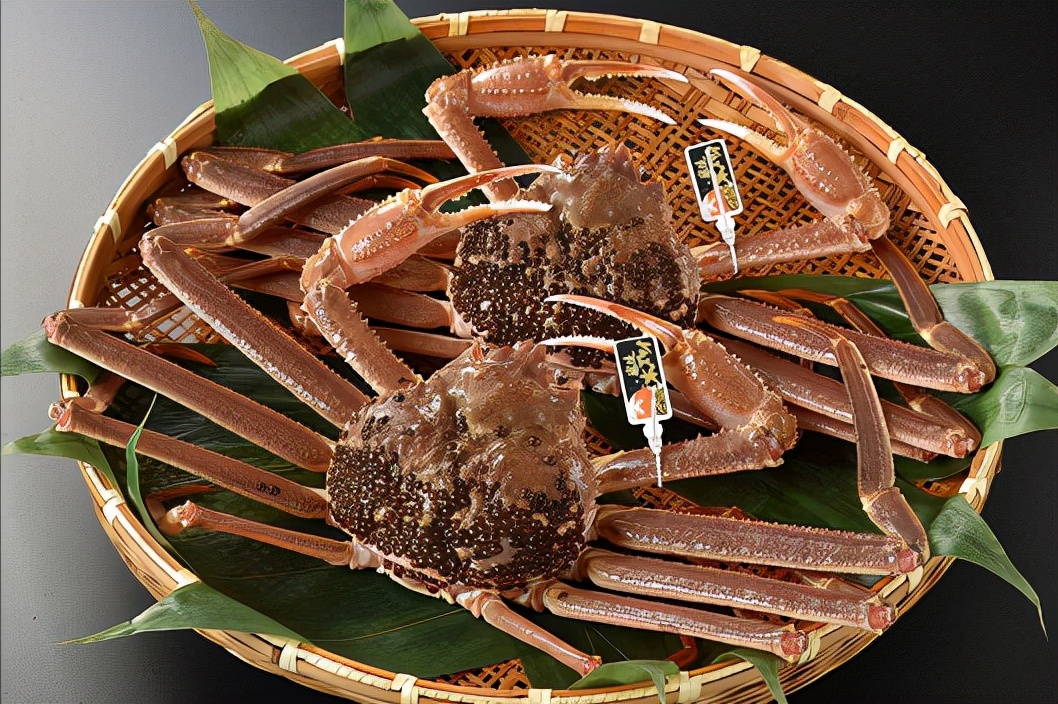 去日本必吃的五种海鲜,到日本必吃的饕餮美食