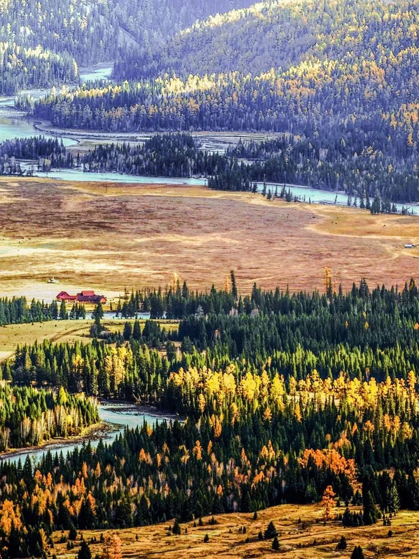 秋季喀纳斯,喀纳斯之秋风景画