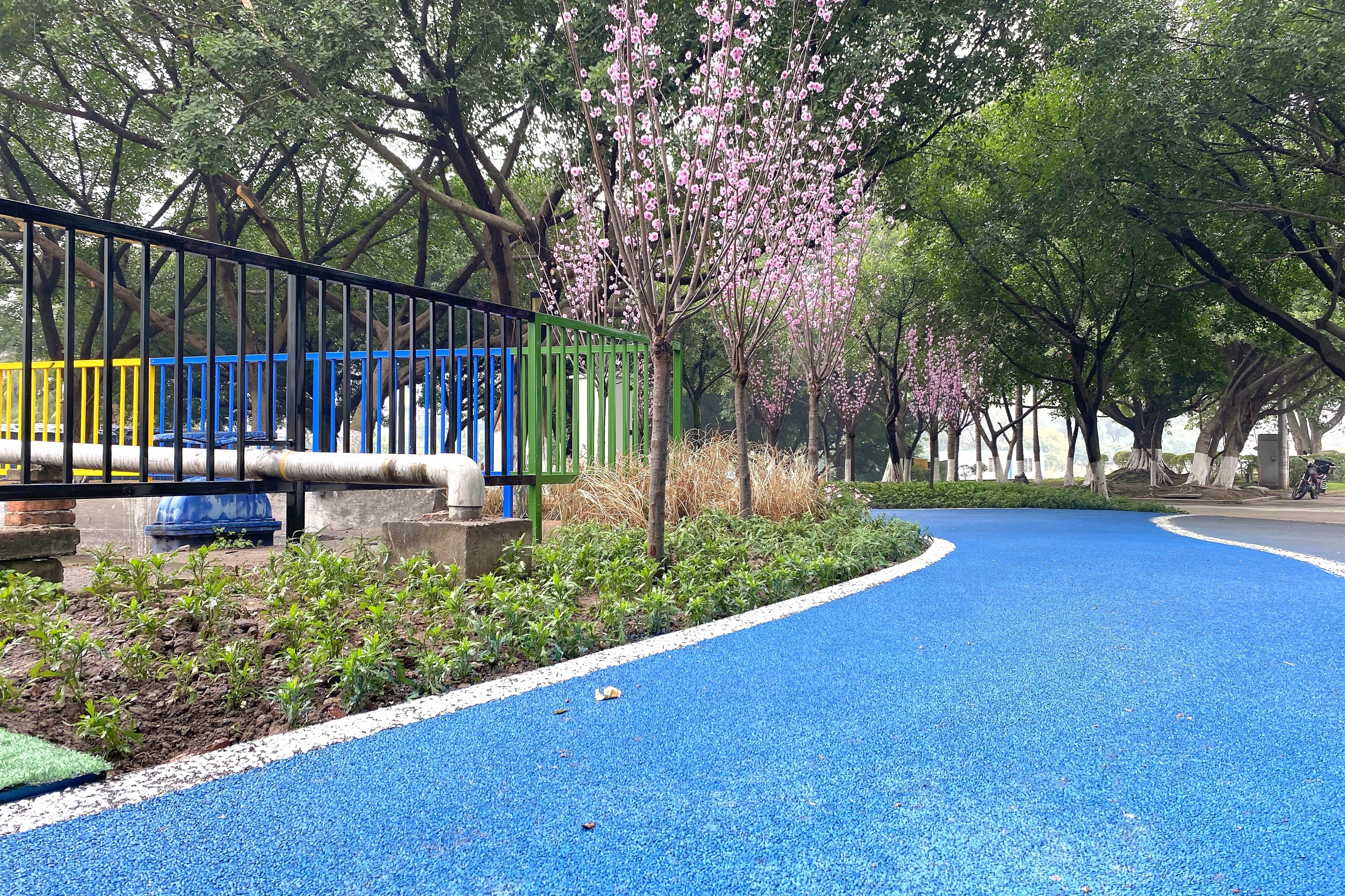 奥体步道,奥体体育健身步道