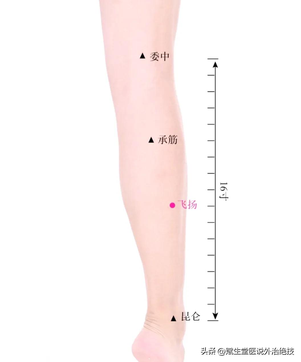 飞扬穴简单准确的取穴方法,飞扬穴准确位置在什么地方