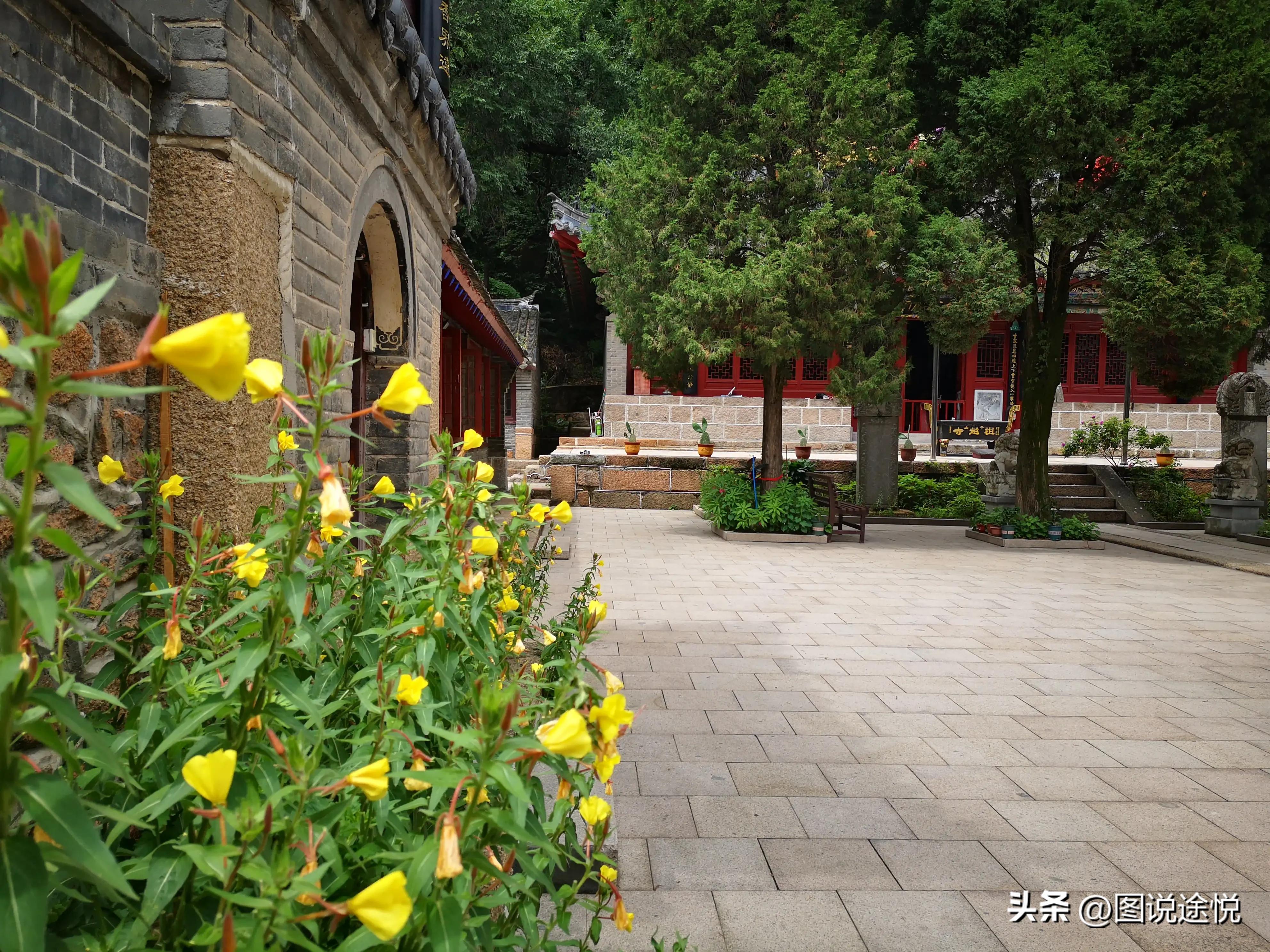 康熙时期皇家寺院,康熙王朝康熙得了天花片段