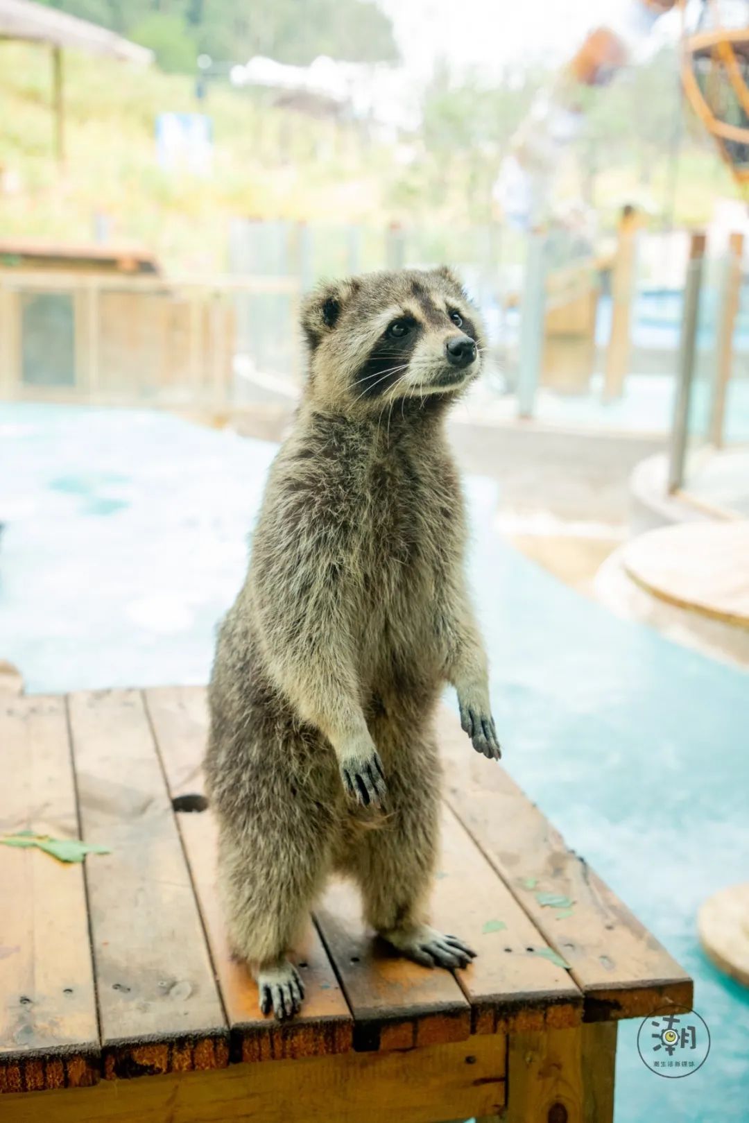 成都市暑假亲子游玩地点推荐,暑假成都亲子游推荐景点
