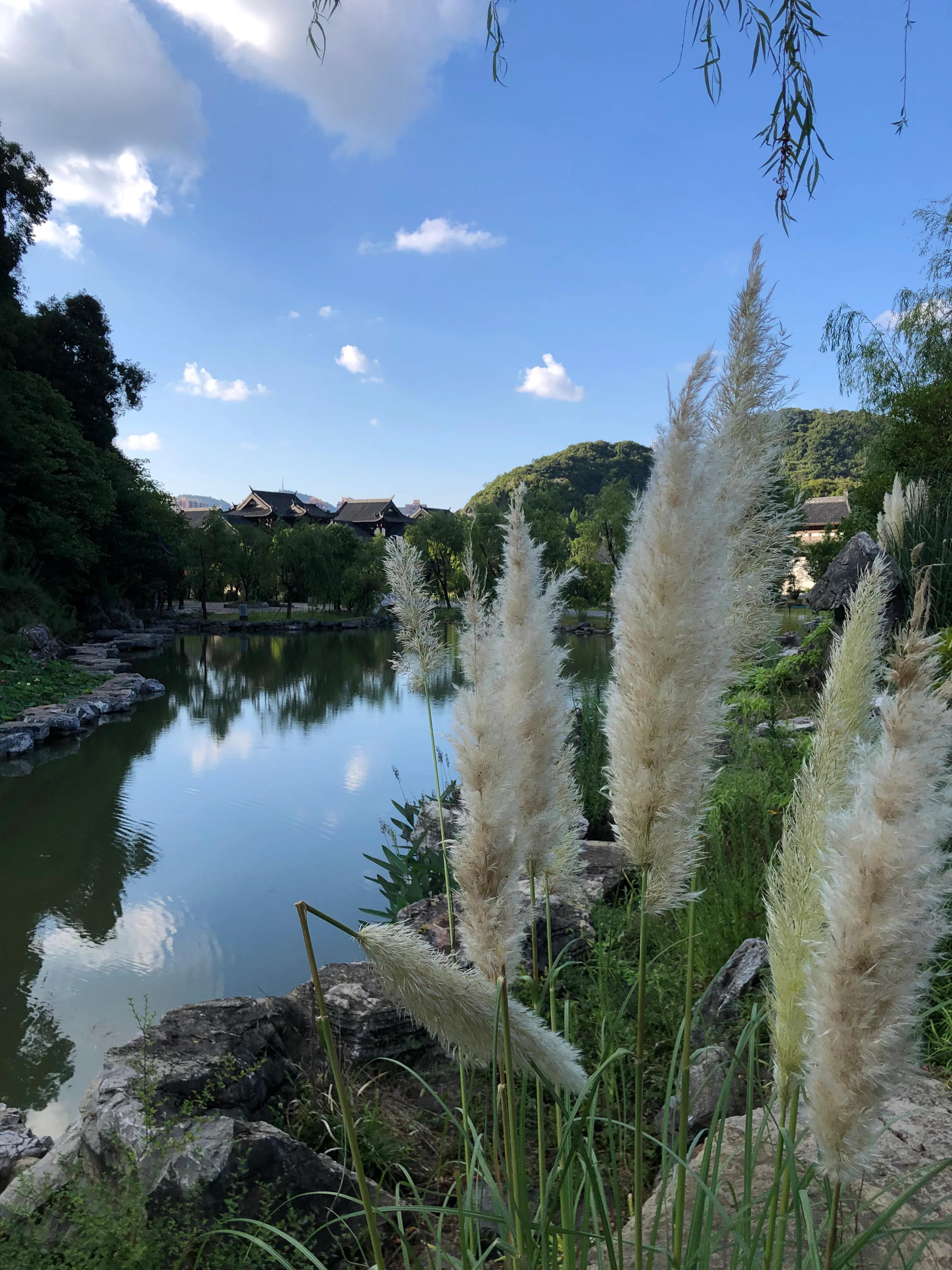 疫情后的欧洲建筑,中世纪欧洲疫情持续多久