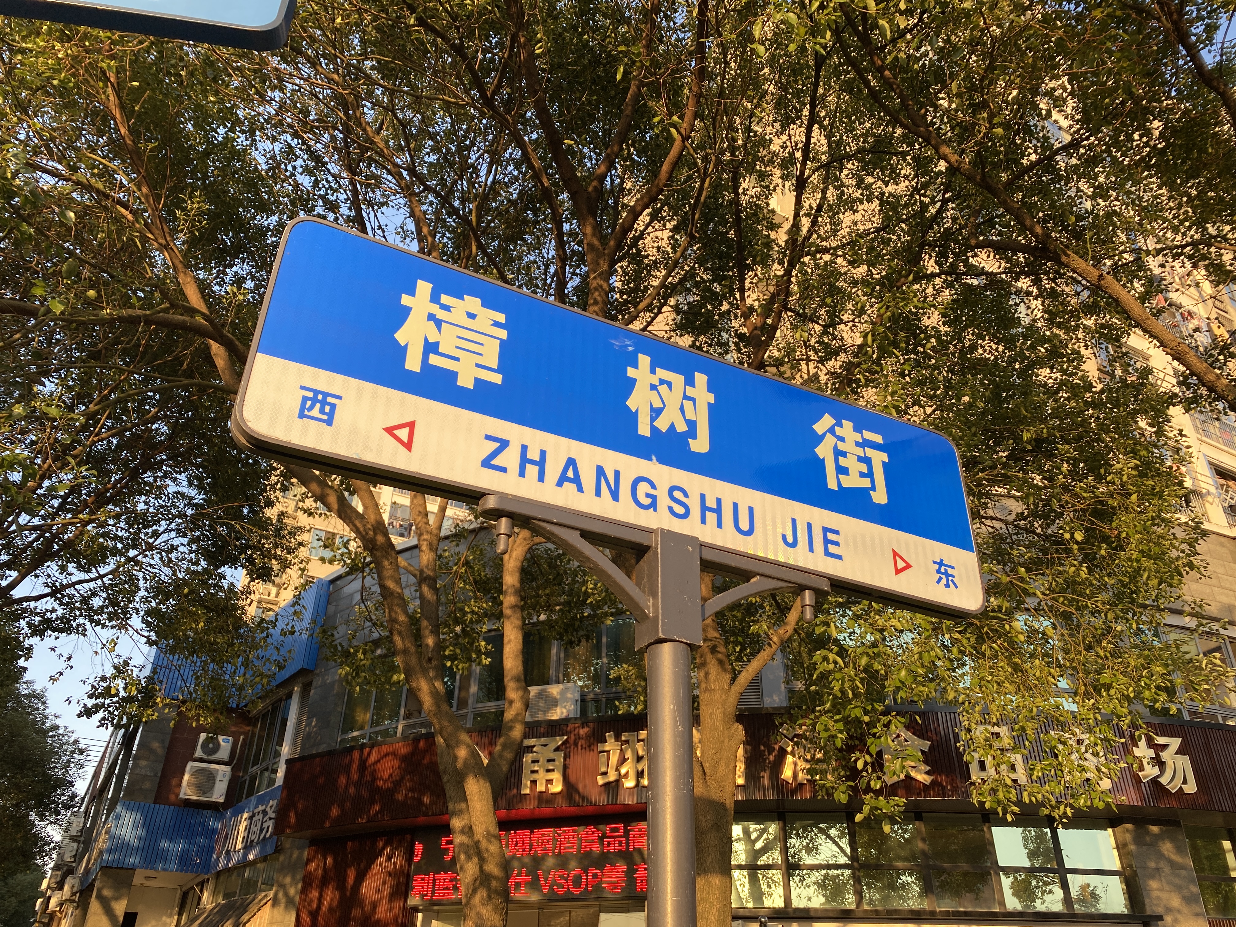 宁波市鄞州区樟树街在哪个街道,宁波市花和市树