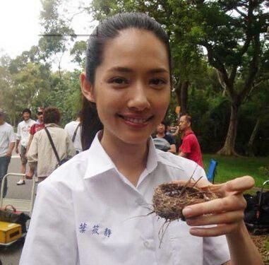 郭碧婷的这场“赌豪”本就是败局