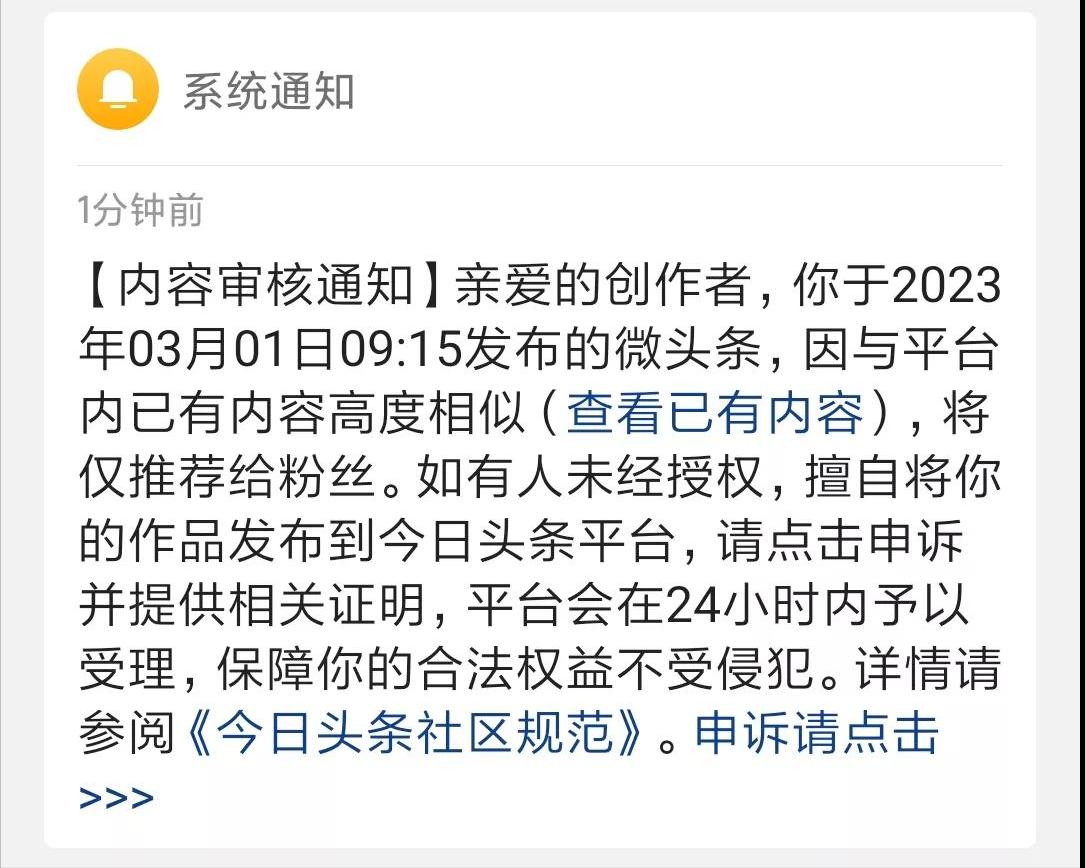 新手小白头条创作11天,新手小白头条阅读量