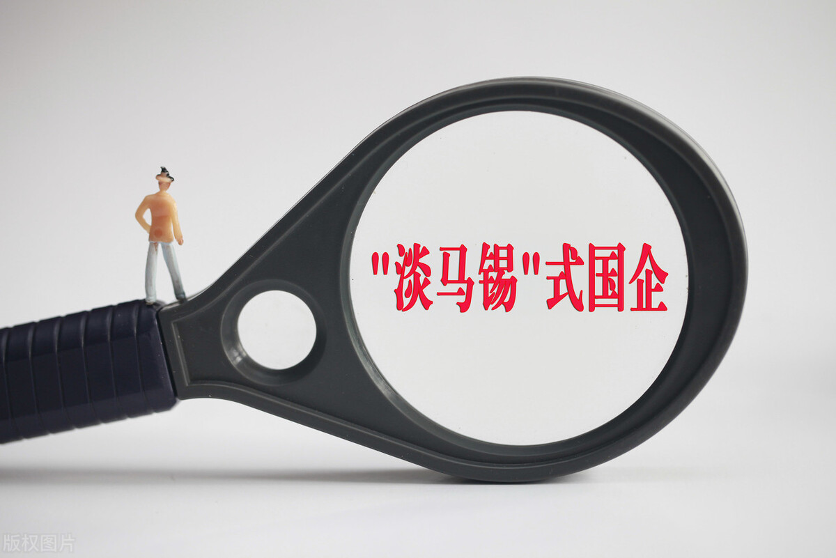 中国巨石是行业龙头吗,中国巨石2024年业绩