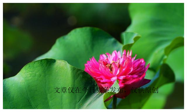 得了ED的人该如何调整好自己的心态，恢复到积极健康的生活状态？