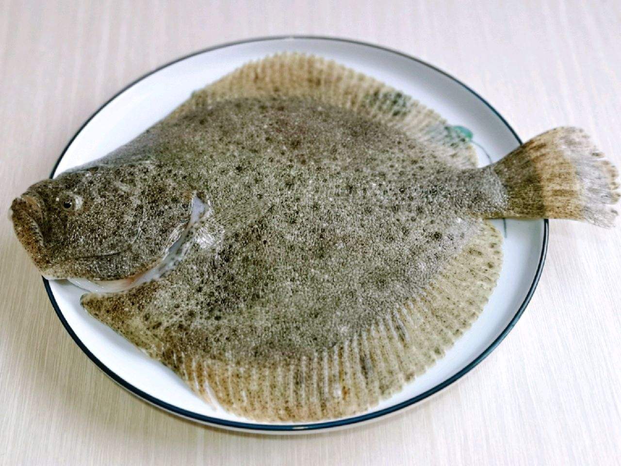 纯野生养殖不了的海鱼,如何挑野生海鱼跟养殖海鱼