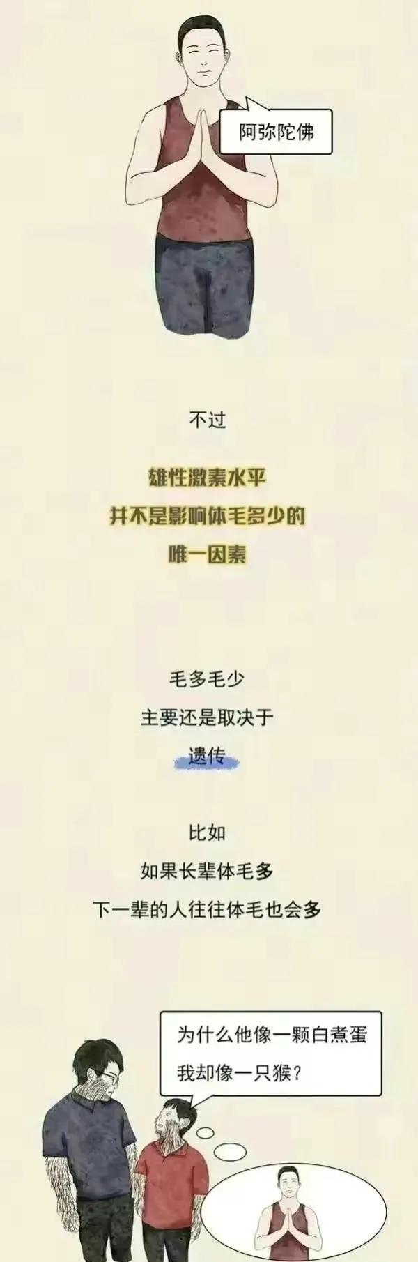 男人的毛发旺盛代表什么,体毛多的男人是雄激素旺盛吗