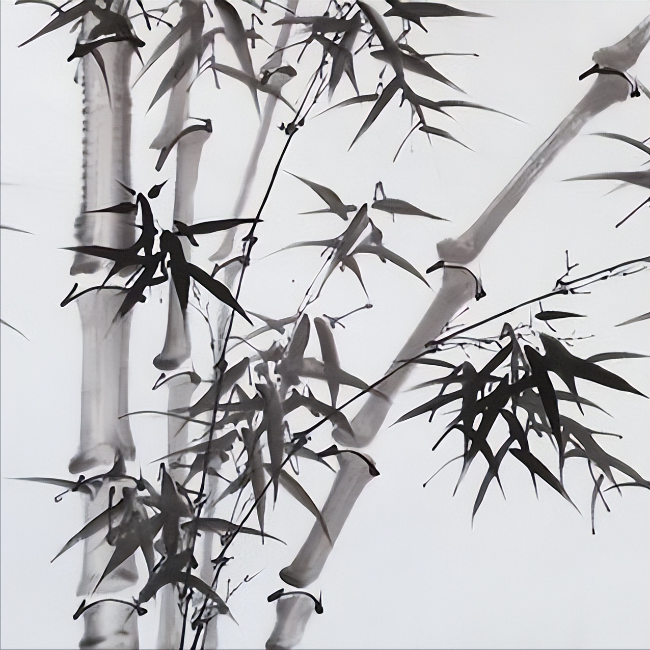 咏竹有名古诗词100首,咏竹古诗大全