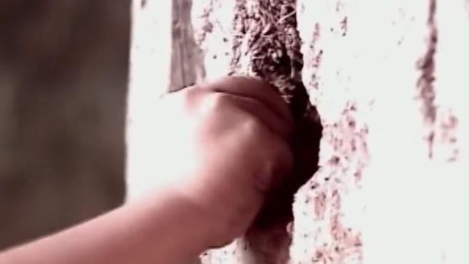 5岁男孩吃土,5岁男童吃土