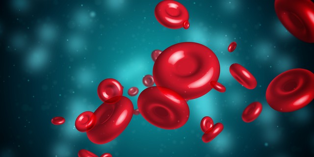 骨髓穿刺查中度贫血要多少钱,体检报告里说贫血要怎么解决