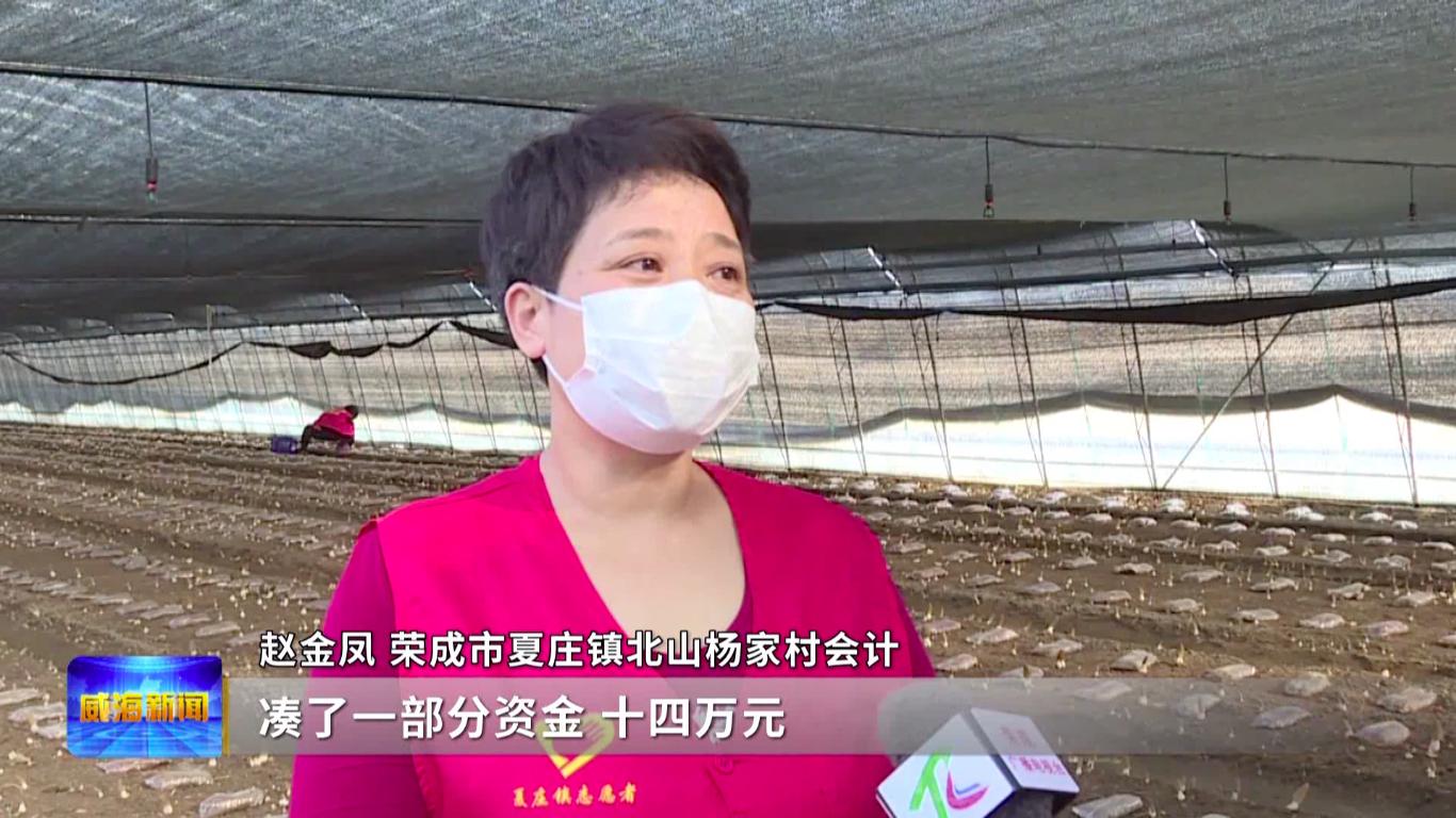 产值超4000万元羊肚菌撑开致富伞,广西三江羊肚菌撑开致富伞