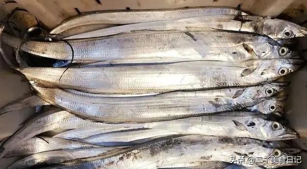 买带鱼眼珠黑好还是白好,买带鱼眼睛要什么颜色的好