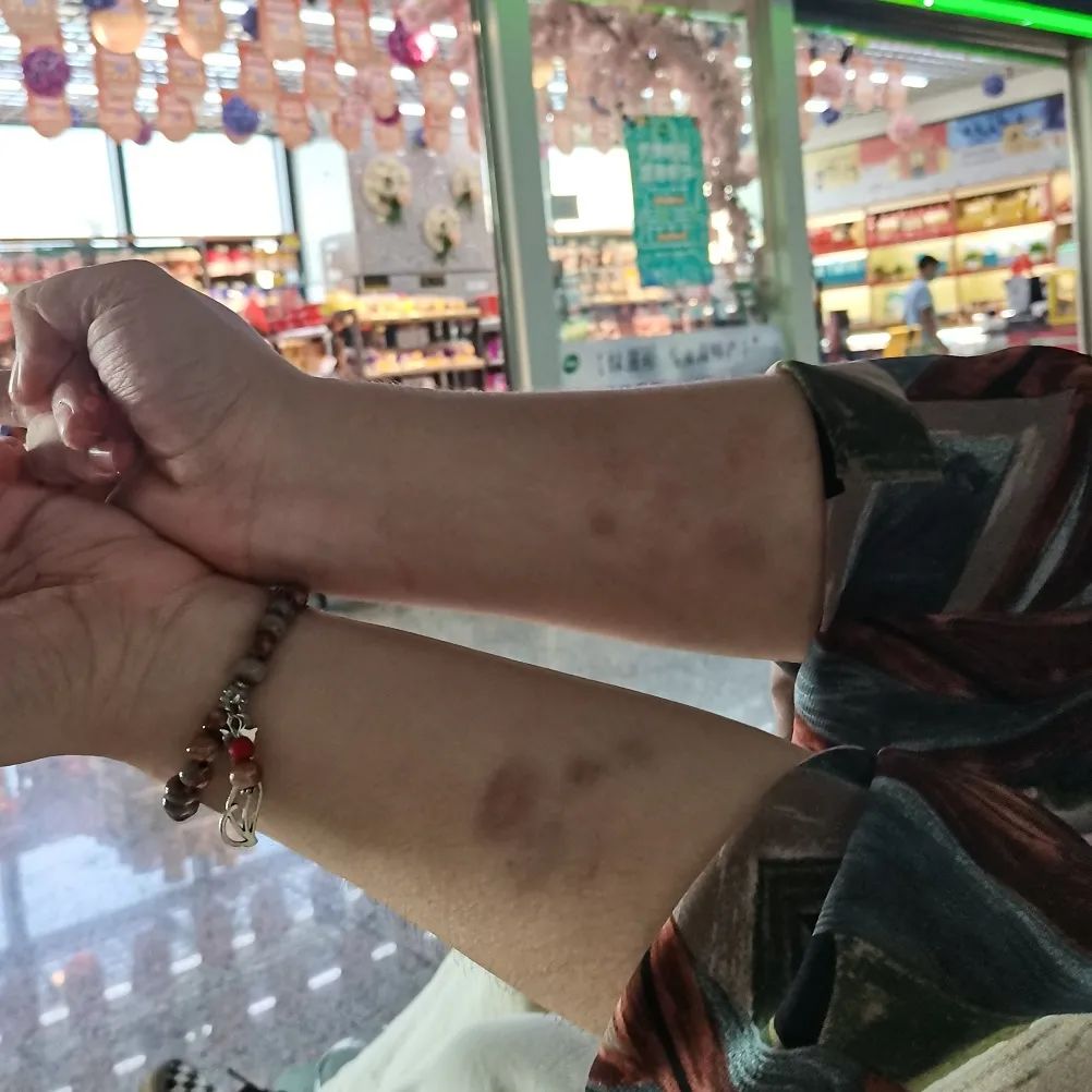 归来景德镇,重新来过景德镇