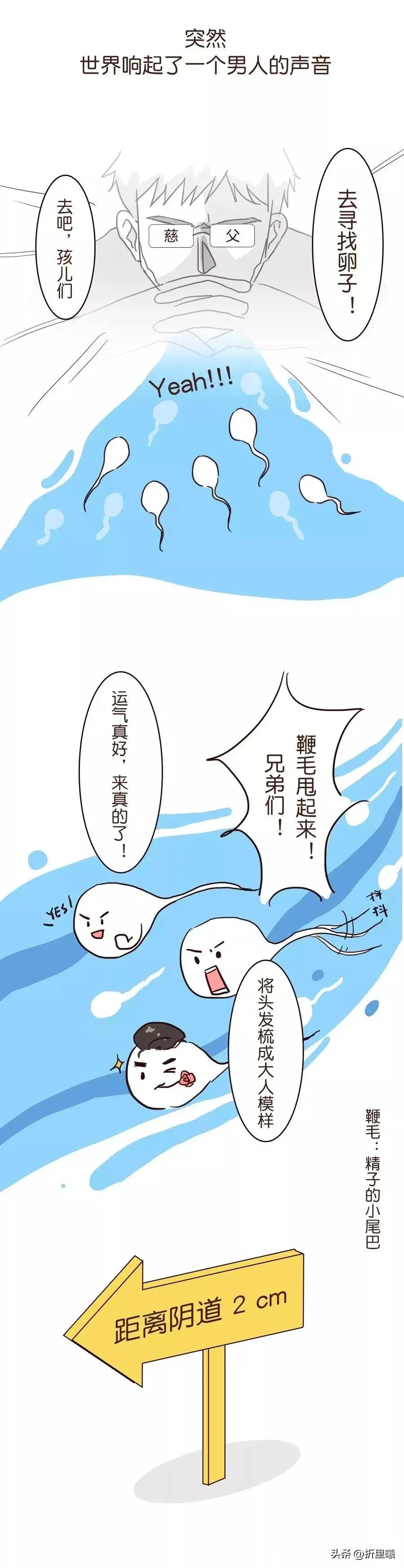 精子进入人体48小时变化,精子在人体24个小时都经历了什么