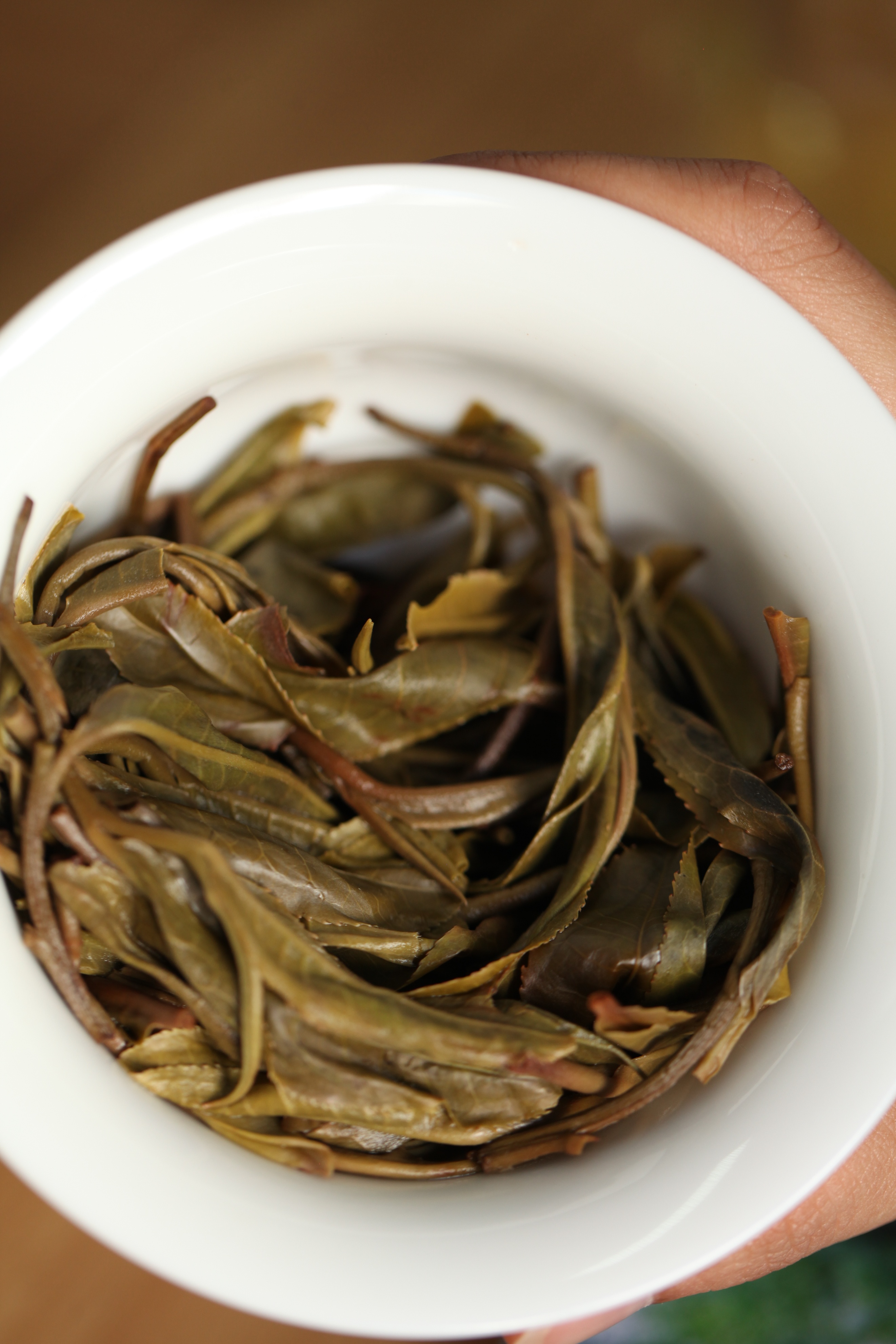 帕沙犀牛塘怎么样,帕沙犀牛塘