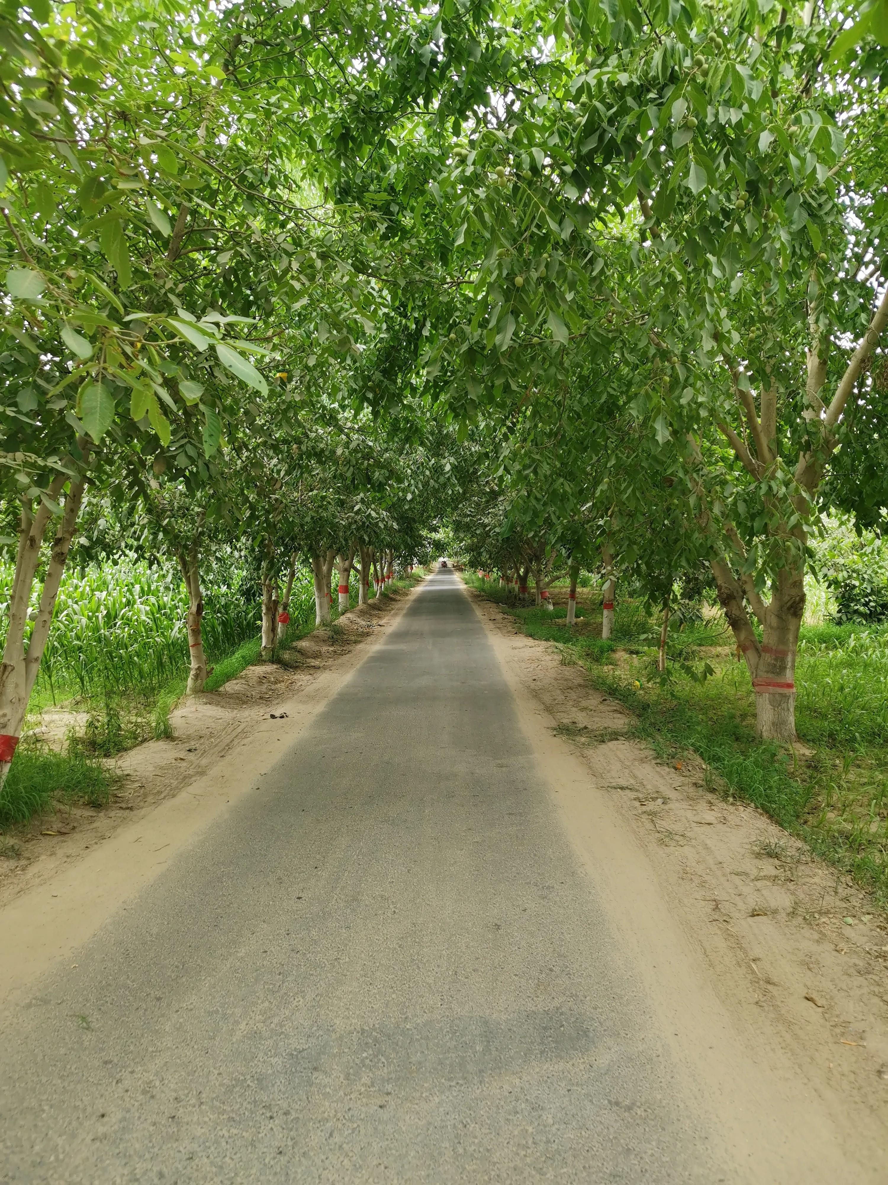 和田市骑行路线,骑行乡间田野