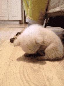 简短沙雕冷笑话,沙雕冷笑话故事